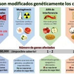 Imagen Original de The Genetic Literacy Project | Traducido por Felix Moronta.