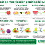 infocorregida