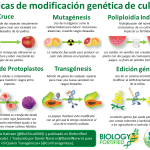 infografia3